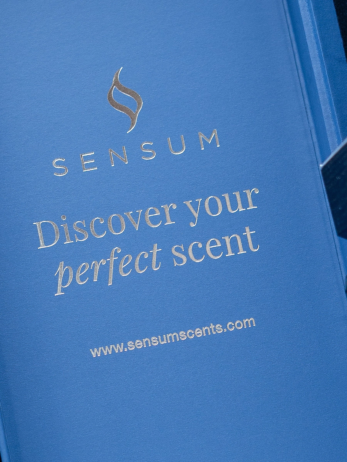 Sensum Reed Diffuser Clear Water -Sensum Reed Diffuser (500ml) – Furniture Next Day IE
